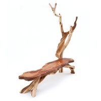 Rustic Slab Bench with Coat Rack