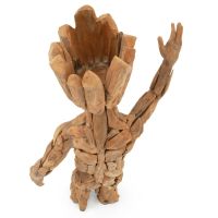 Baby Root