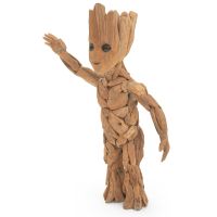 Baby Root