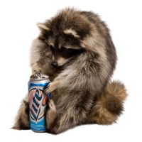 Beer Can Raccoon Trophy Mount