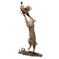 Bobcat Chasing Pheasant Trophy Mount