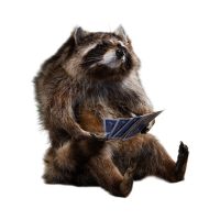 Card Shark Raccoon Whimsical Taxidermy