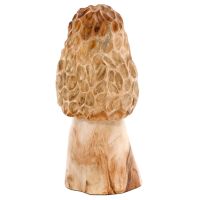 Carved Morel Mushrooms
