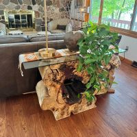 Modern Organic Console Table