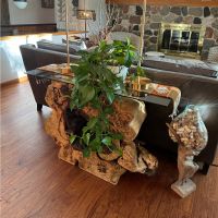 Modern Organic Console Table