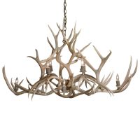 Isle Royale Chandelier (Whitetail Deer Antlers)