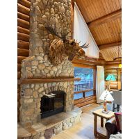 Rustic Driftwood Moose Head Mount in Log Cabin