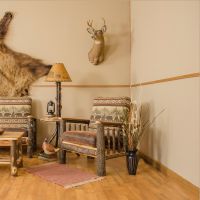 Living Room Log Chair