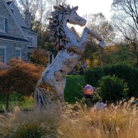 Outdoor Wood Horse