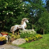 Wood Horse Sculpture
