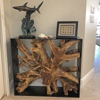 Modern Root Console Table