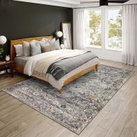 Jericho Series IV Rug - Silver