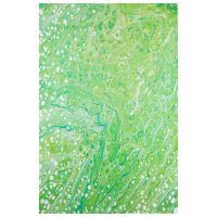 Kikiamo Series V Rug - Lime
