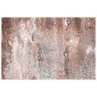 Kikiamo Series XV Rug - Canyon