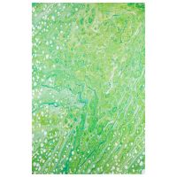 Kikiamo Series V Rug - Lime