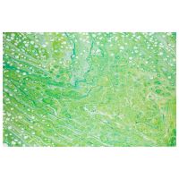 Kikiamo Series V Rug - Lime