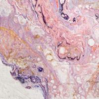 Kikiamo Series VI Rug - Primrose