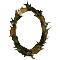 Fallow Deer Antler Mirror