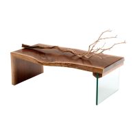 Modern Glass & Live Edge Walnut Waterfall Coffee Table