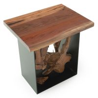 Modern Root End Table