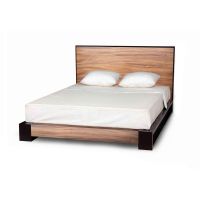 Modern Tarzia Platform Bed