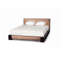 Modern Tarzia Platform Bed