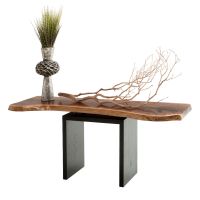 Natural Live Edge Chrome Riser Sofa Table