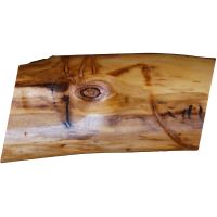 Natural Log
