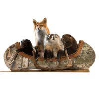 "Noah's Ark" Canoeing Quartet