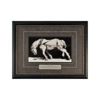 "Pull It One More Mile" Framed Wall Art by Ross Taylor
#991 Standard Frame