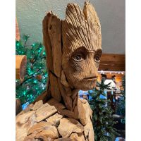 Root Man