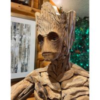 Root Man