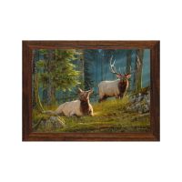 "Standing Watch" by Dallen Lambson
16" x 23" - #901 Standard Frame