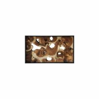 Suar Statement Console