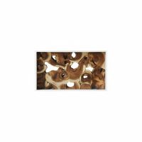 Suar Statement Console