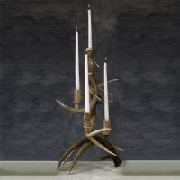 Towering Candelabra