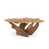 Rustic Root Coffee Table