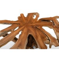 Rustic Root Coffee Table