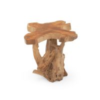 Rustic Root End Table