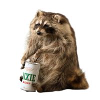 Beer Can Raccoon Trophy Mount
