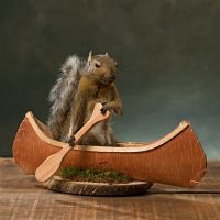 Canoeing Squirrel Trophy Mount