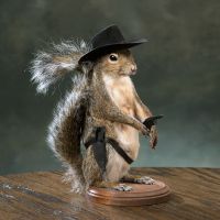 Gunslinger Squirrel Taxidermy Mount