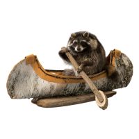 Canoeing Raccoon Trophy Mount