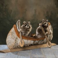 Canoeing Coon Duo Trophy Mount