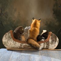 "Noah's Ark" Canoeing Quartet