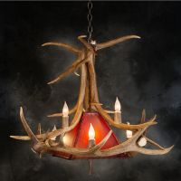 Real Elk Antler Pendant Light