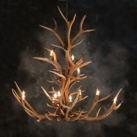 12 Light Elk Antler Chandelier