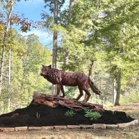 Standing Wolf, Shown with Custom Outdoor Finish