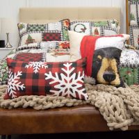 Winter Cottage Pillow Set