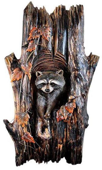 Raccoon in Tree